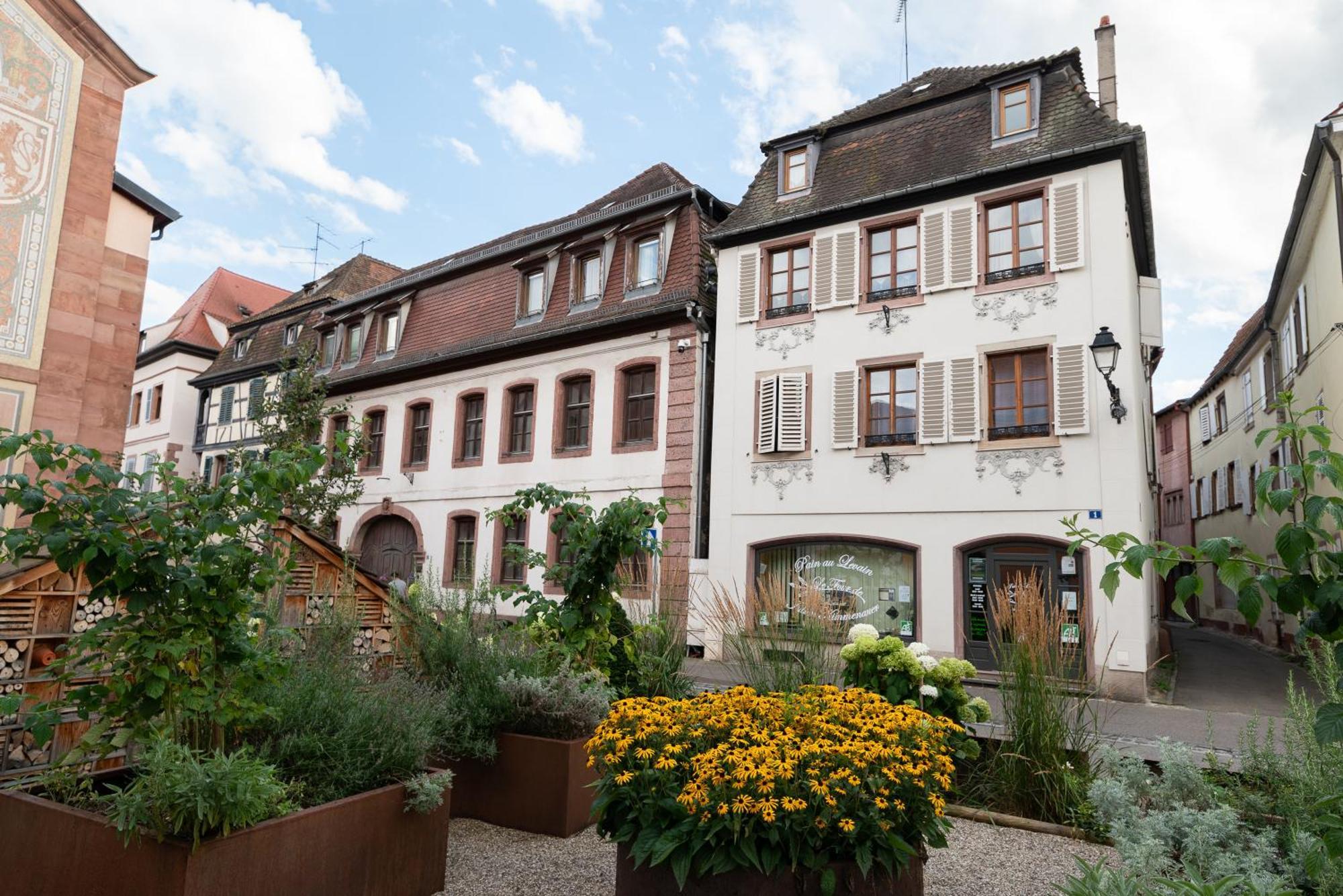 Le Repaire Du Chanceux Sélestat Exterior foto